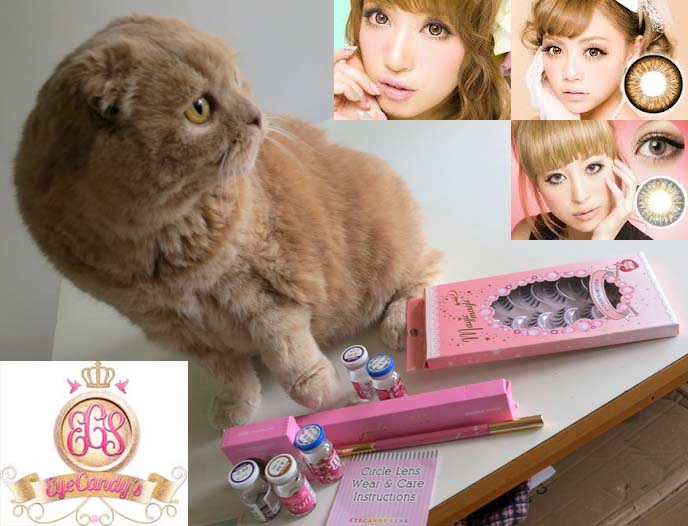 colored contacts, best circle lens, Circle contact lenses, false eyelashes