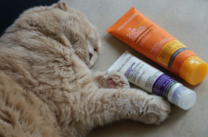 cat sunscreen