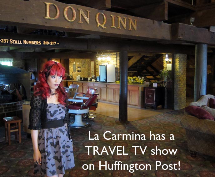 Huffington post travel show, coolhunting america, la carmina tv show, travel host, travel blogger aol, aol travel web series, web travel videos, best tv hosts, casting travel host, female reporters, female entertainment reporter, coolhunter tv, BONDAGE BED & KITSCH THEME HOTEL ROOMS! FANTASY ROOMS, STRANGE RETRO LOVE HOTELS. DON Q INN, DODGEVILLE, WISCONSIN, fantasuite hotels, fanta suite, unique honeymoon, 1970s love shack, water beds, igloo theme room, spaceship bed, swinging bed, handcuffs on bed, bondage room, love hotels, japanese love hotel