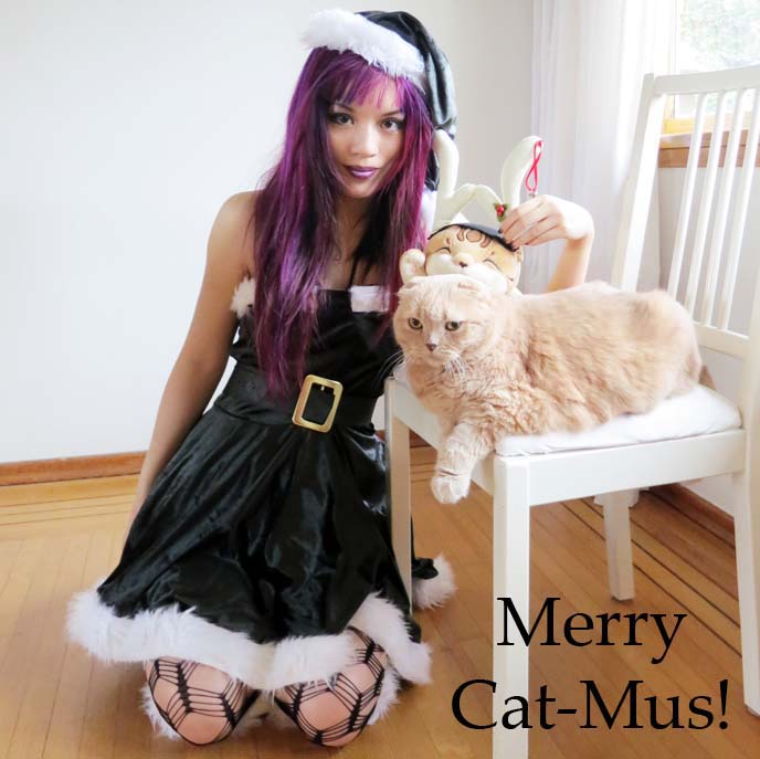 naughty elf costume, sexy womens costumes, halloween 2013 costumes, women costumes, elf outfit, christmas makeup, purple hair, purple hair color, emo hairstyle, goth hairstyles, scottish fold cat, cutest cat ever, elf outfit, santa hat, green elf, cross fishnet tights, cross fish stockings, leg avenue, purple lipstick, halloween costume ideas, gothic costume