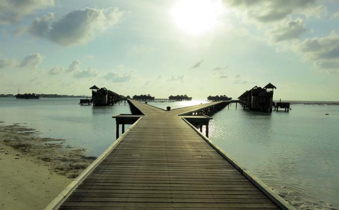 wood jetty, ocean boardwalk