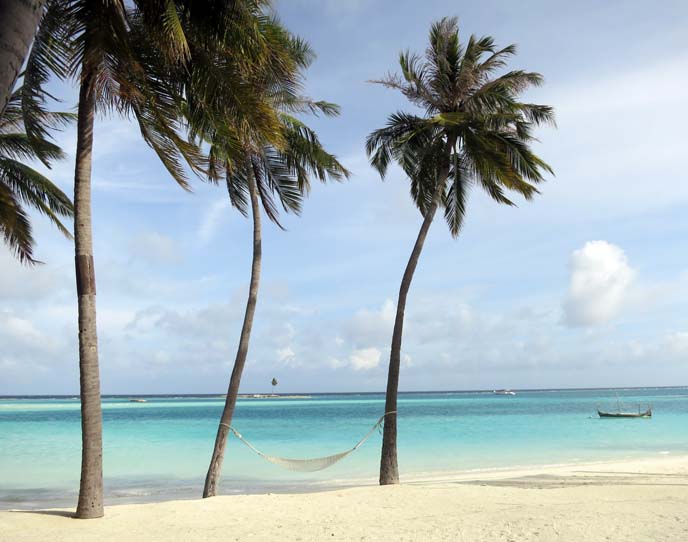 Maldives islands, beaches, palm trees, ocean