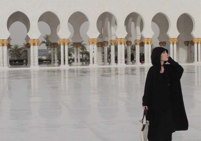 arabian mosque, sheikh zayed mosaic courtyard