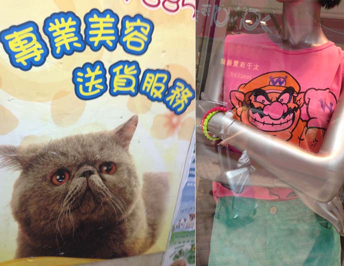 wario tshirt, exotic shorthair cats pet store