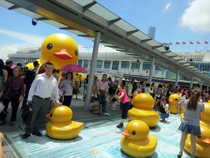 hong kong duck, floating rubber ducky art