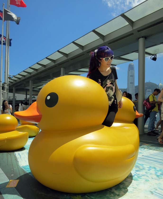 hong kong rubber duck floating