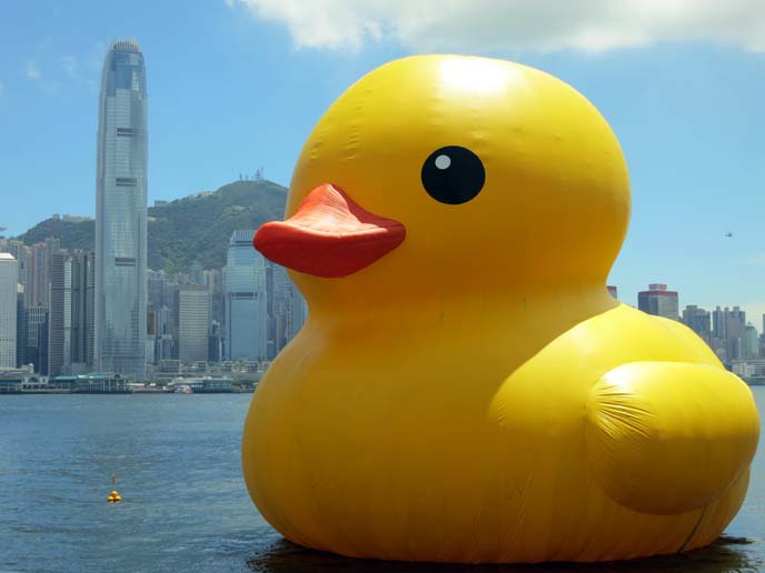 inflatable duck statue, bizarre hong kong