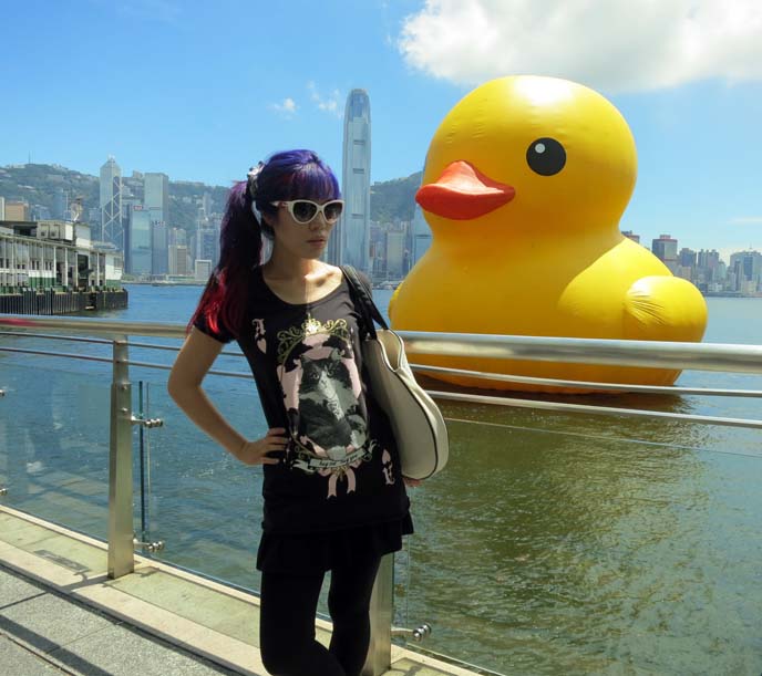 big cute kawaii duck, tsim sha tsui marina