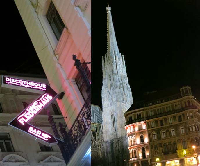 cabaret fledermaus, discotheque Vienna