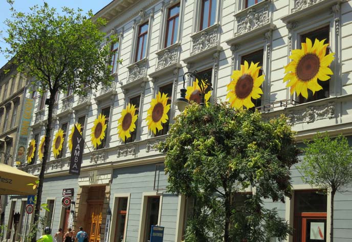 sunflowers building, van gogh exhibit