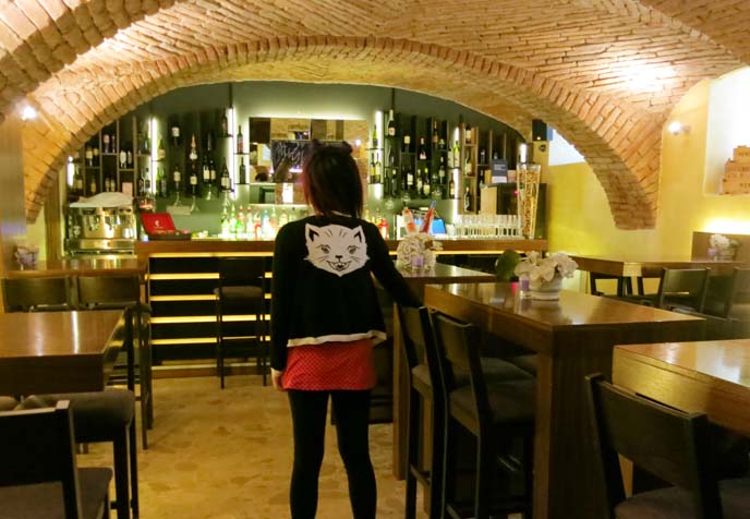 basement, zagreb wine bar, croatian wines