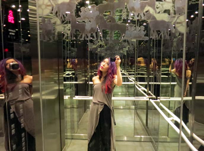 sofitel elevator art mirrors