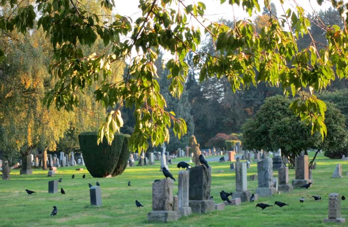 the crow, brandon lee burial funeral