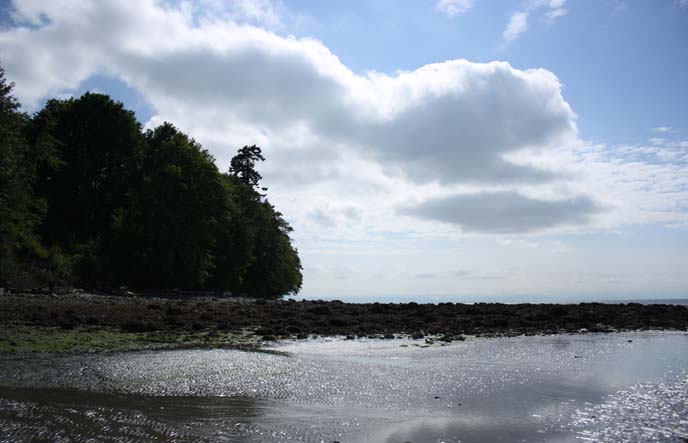 wreck beach, acadia beach vancouver