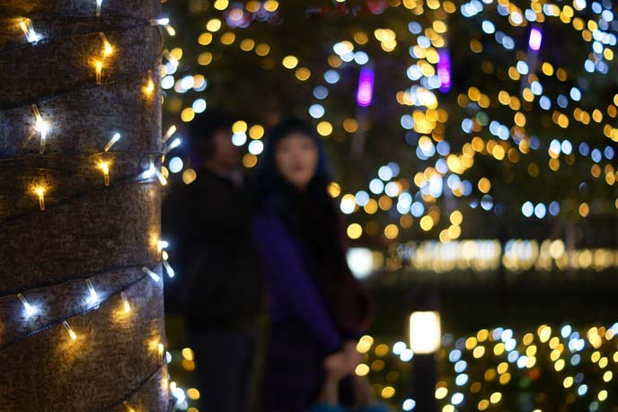 Japanese Christmas Lights