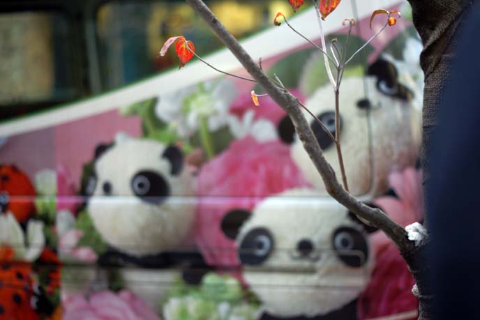 panda bear flower arrangement