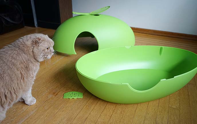 Poopoopeedo cat furniture