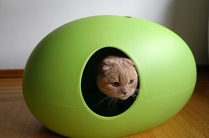 Egg shaped clearance litter box