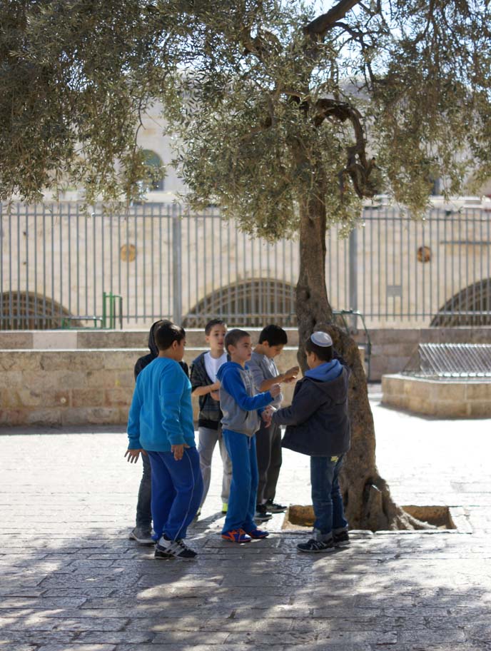 jewish boys playing