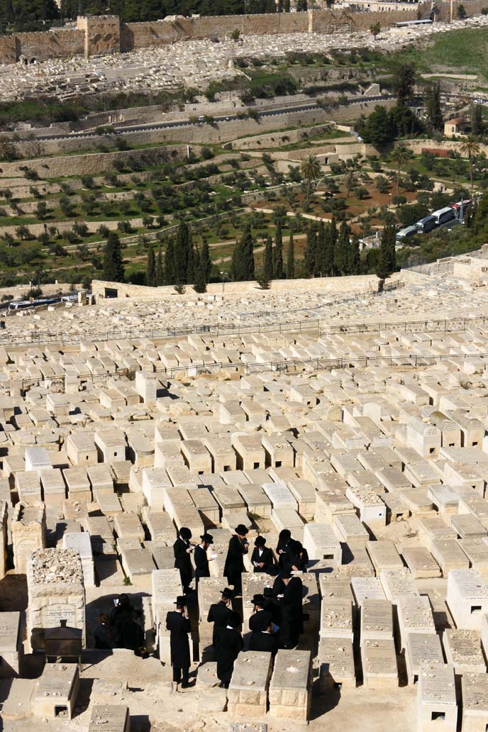 jewish cemetery, hasidic jews