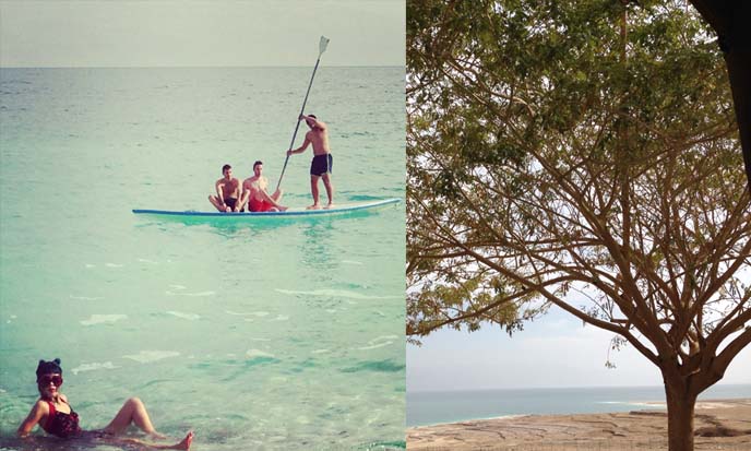 dead sea bathers, swimmers