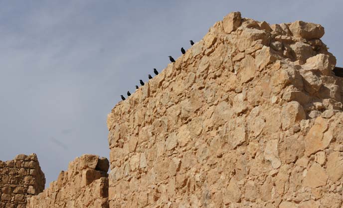 masada ancient wall