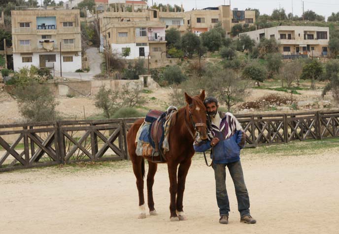 jordanian man with horse