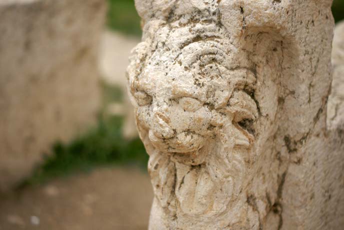 roman lion carving