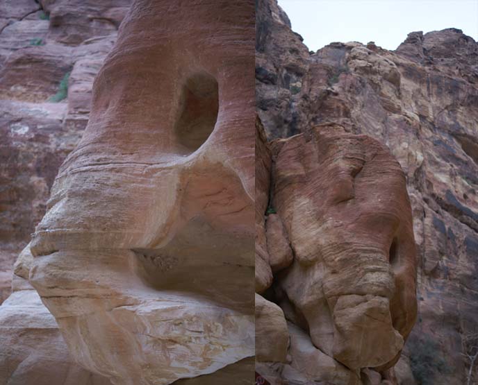 petra elephant rock, fish face