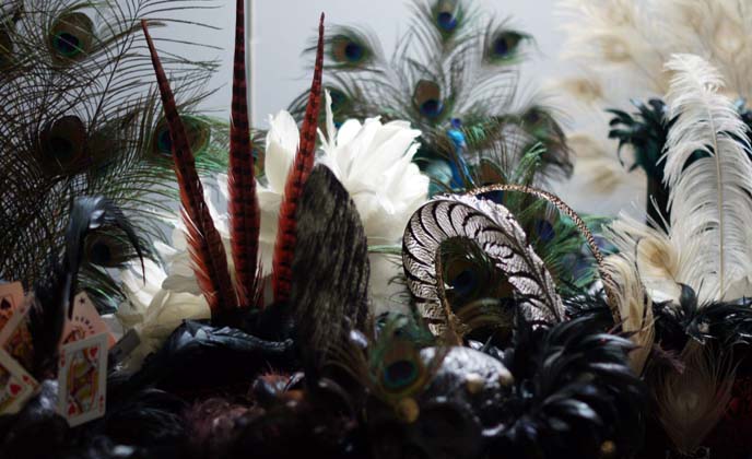 peacock feather hats crowns