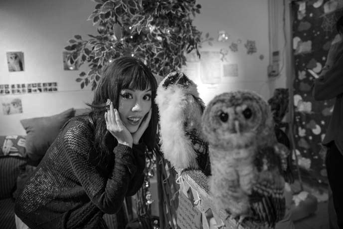 japanese girls petting owls