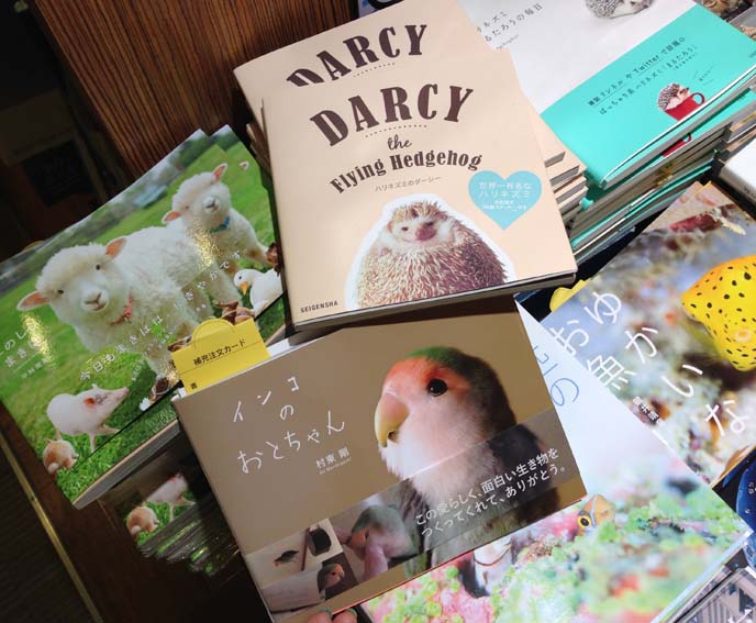 cute animal books japan