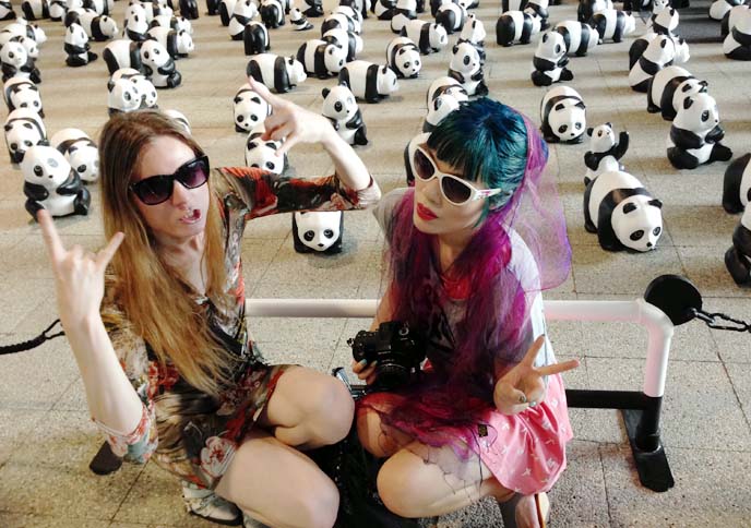 1600 panda bears, pmq hong kong