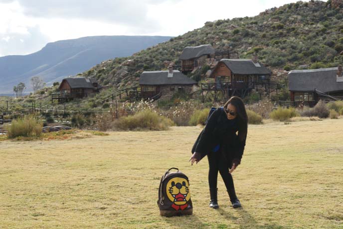 cute lion print backpack