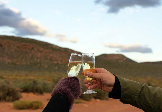 champagne toast glasses