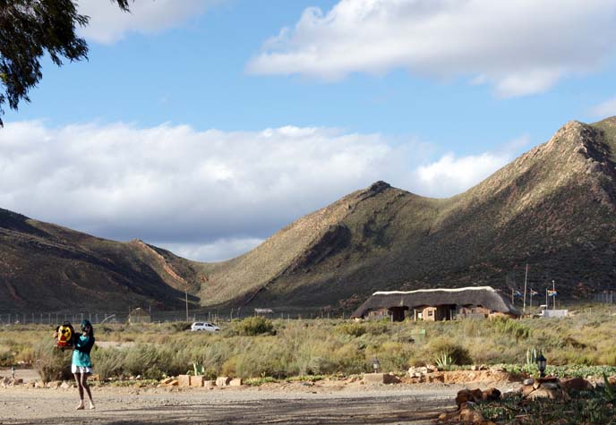 south african mountains