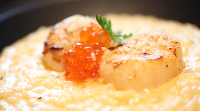 scallops risotto