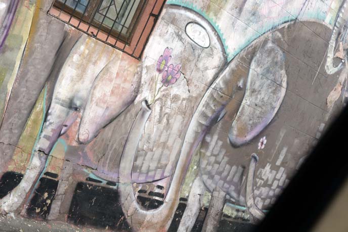 cute elephants urban art