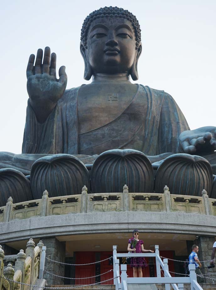 hong kong big buddha statue