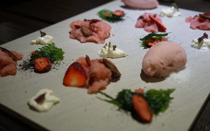 strawberry molecular dessert