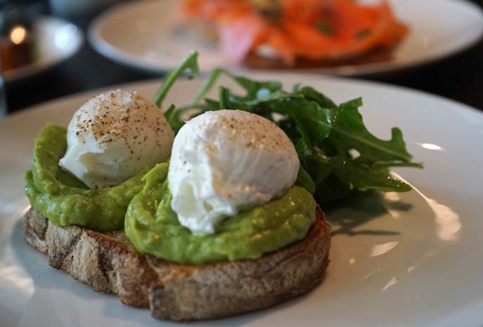 avocado toast trend