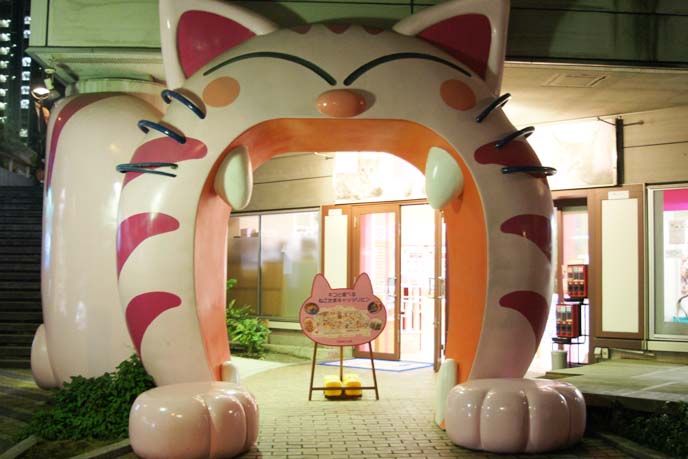 big cat yawning gate japan