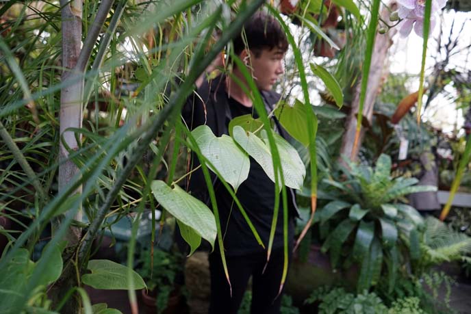 indoor garden, san francisco