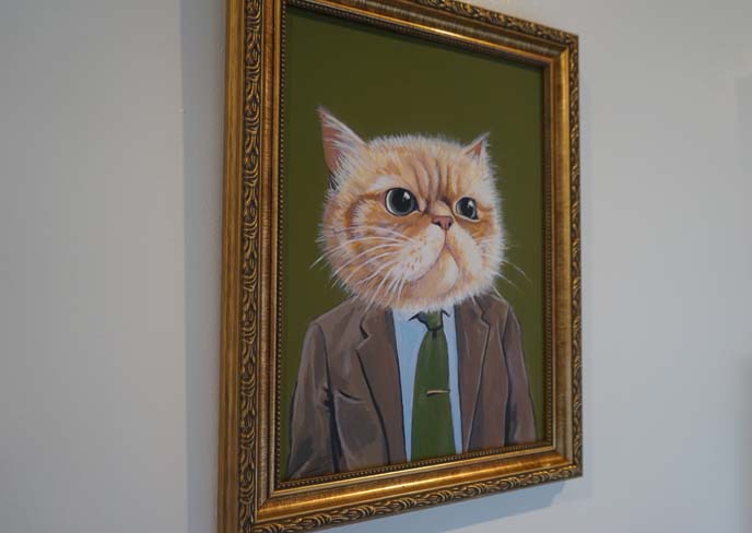 funny cat in suit portrait