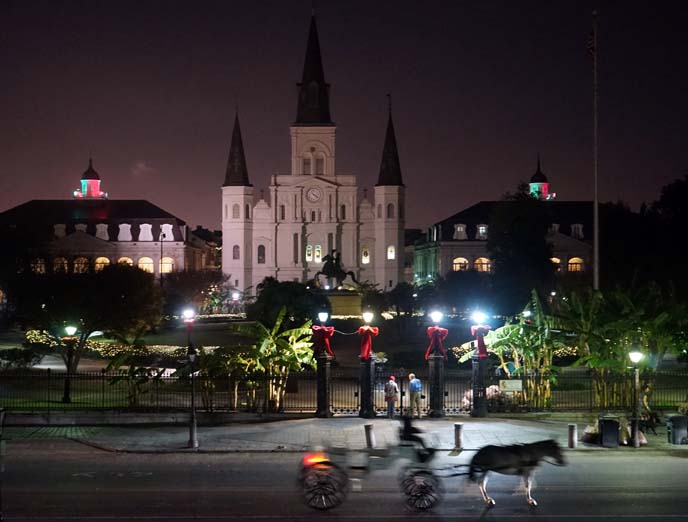 st louis cathedral nighttime