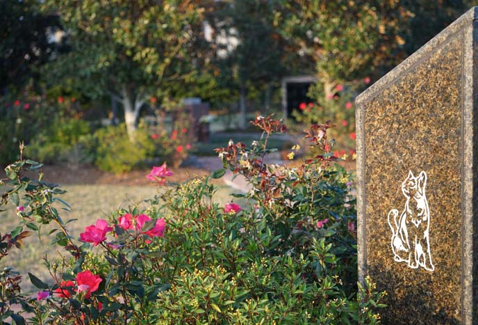 pet cemetery new orleans