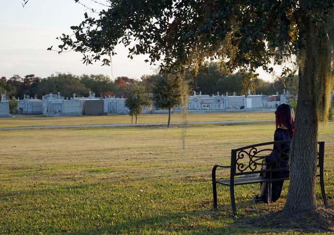 new orleans cemetery walking tour