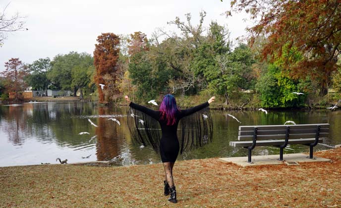 audubon park duck pond