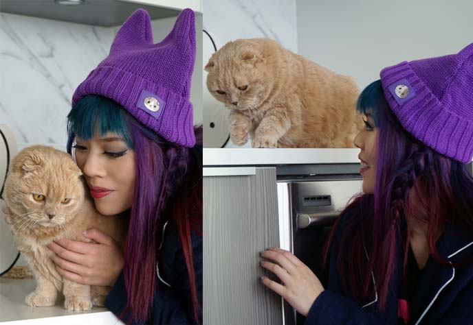 eat your kimchi meemersworth hat