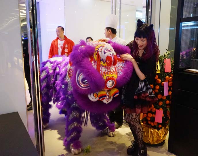 petting lion, chinese celebrations